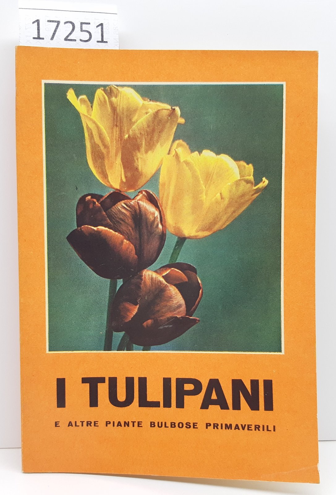 I tulipani ed altre piante bulbose primaverili Vallardi 1956