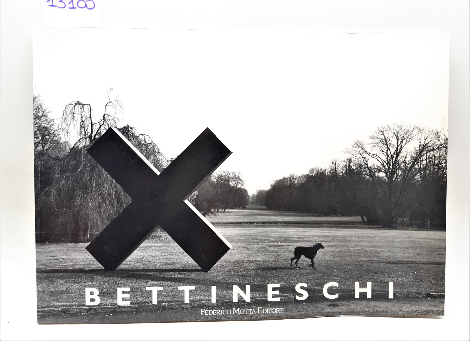 Mariella Bettineschi Paesaggi in nero Federico Motta editore 1992