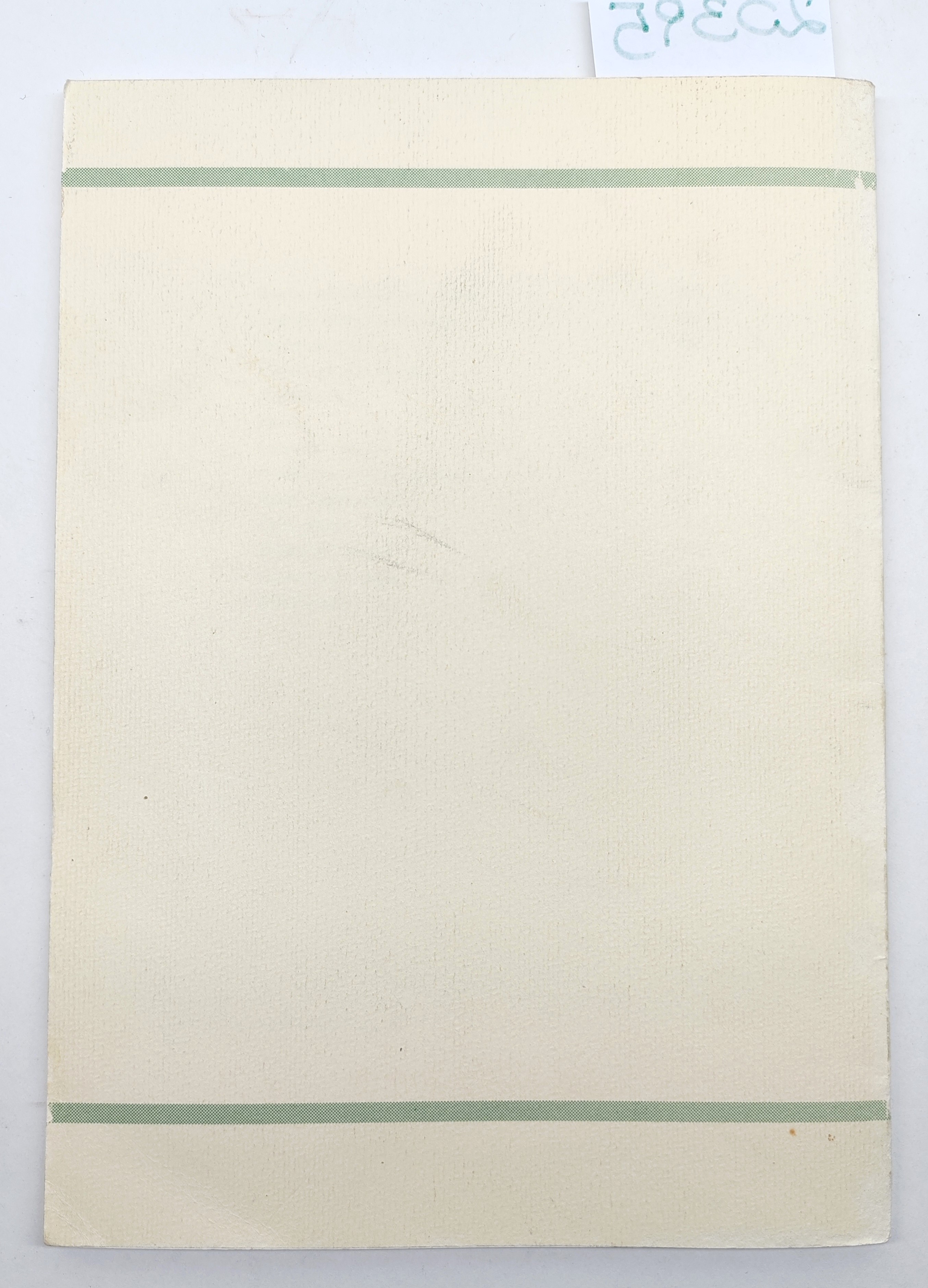 Marina Andrey Le ricette della nonna erbe e fiori delle …