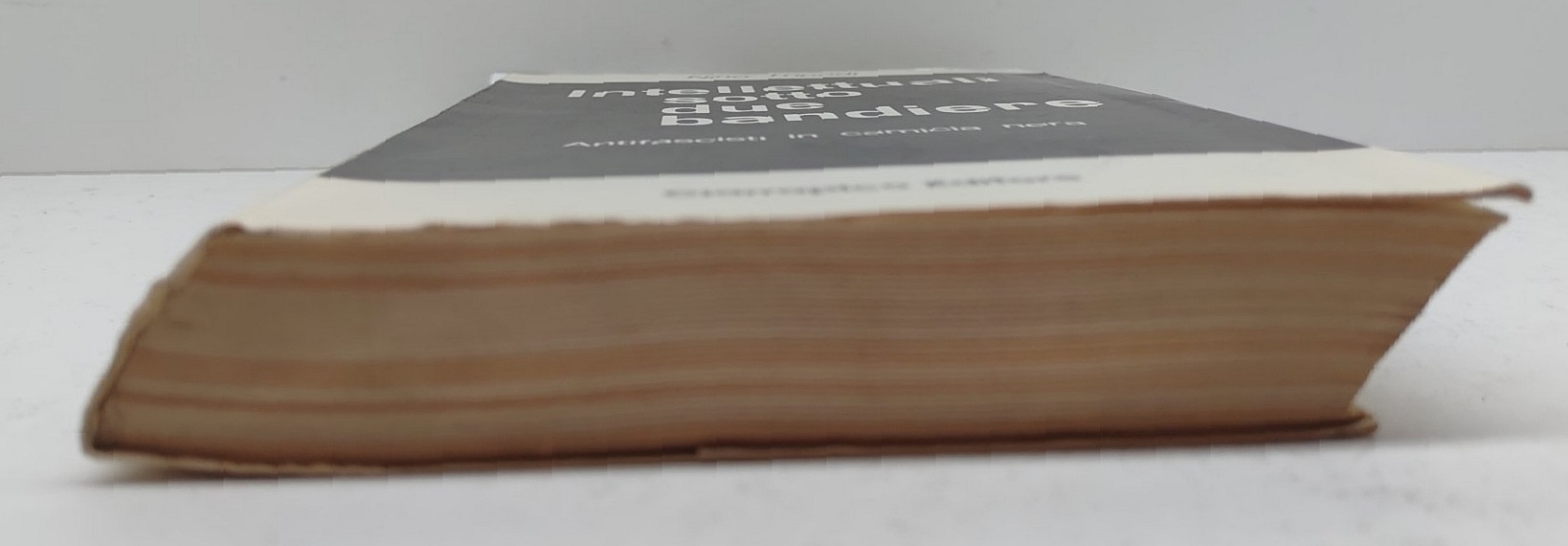 Nino Tripoli Intellettuali sotto due bandiere antifascisti in camicia nera …