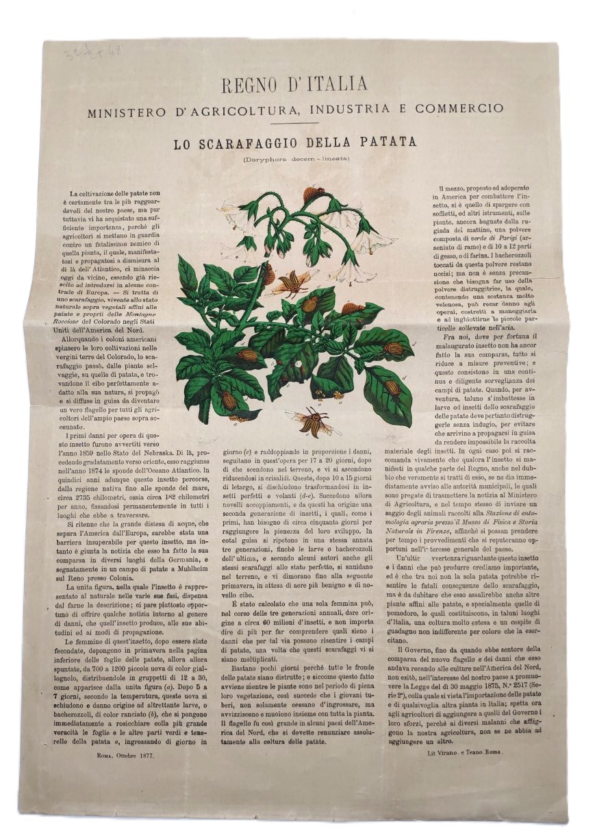 Regno d'Italia ministero dell'Agricoltura industria e commercio lo scarafaggio della …