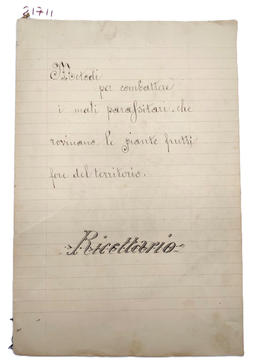 Ricettario manoscritto illustrato parassiti piante fruttifere 1920 c.a.