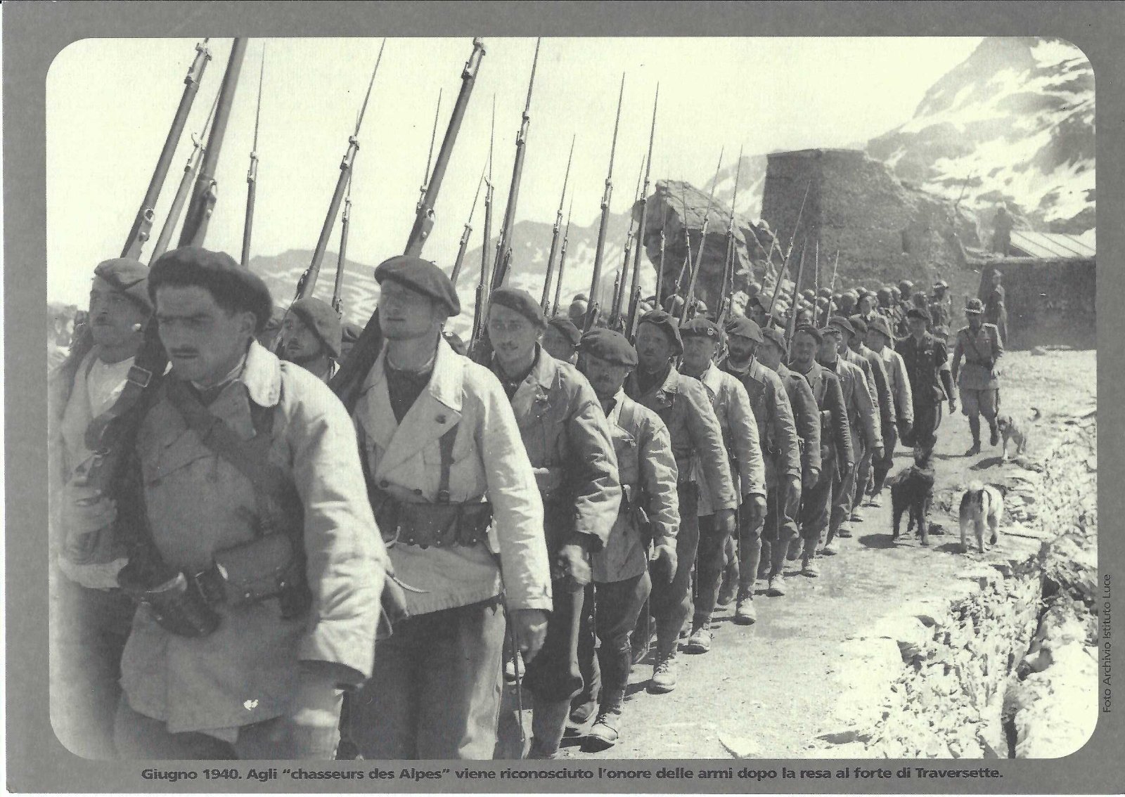 Riproduzione foto archivio Istituto luce giugno 1940 agli chausseurs Des …