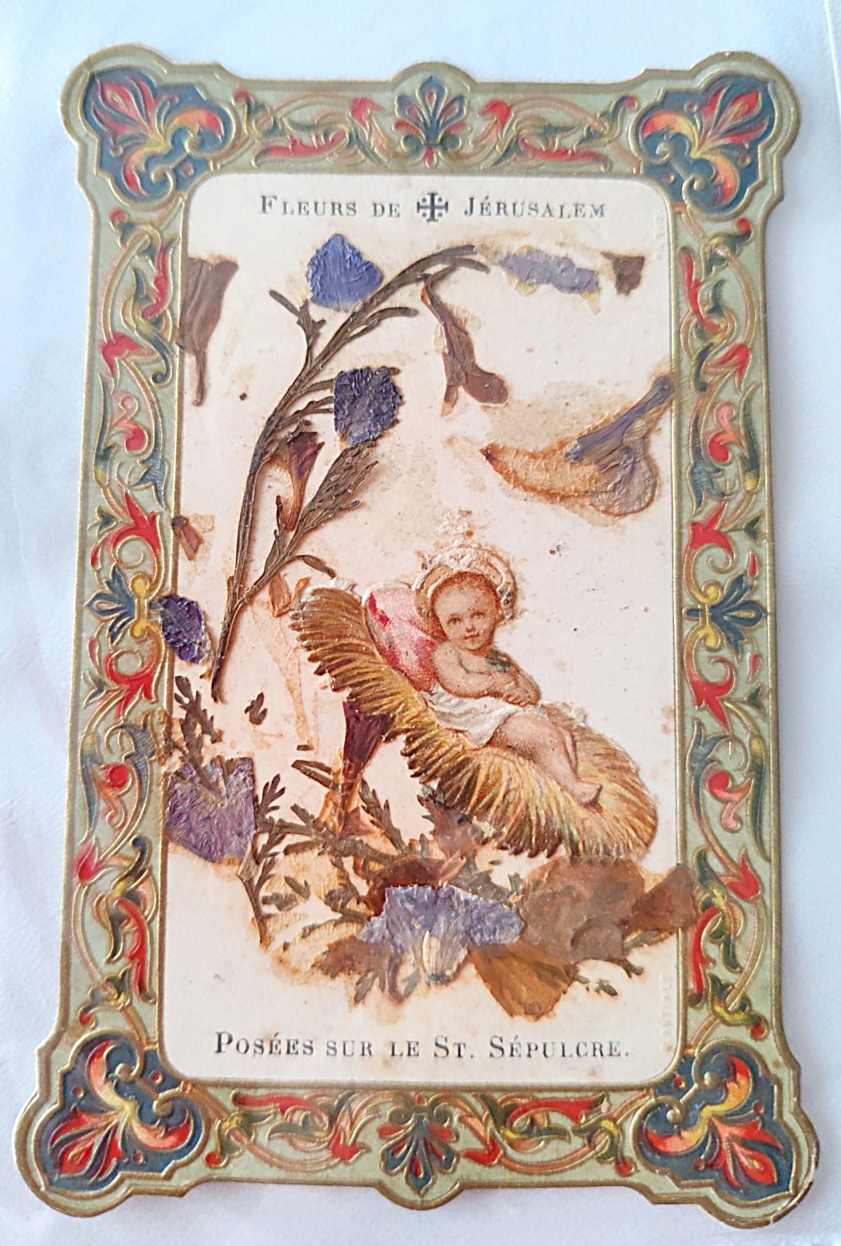 Santino Fleur de Jerusalem Fiori di Gerusalemme holy card