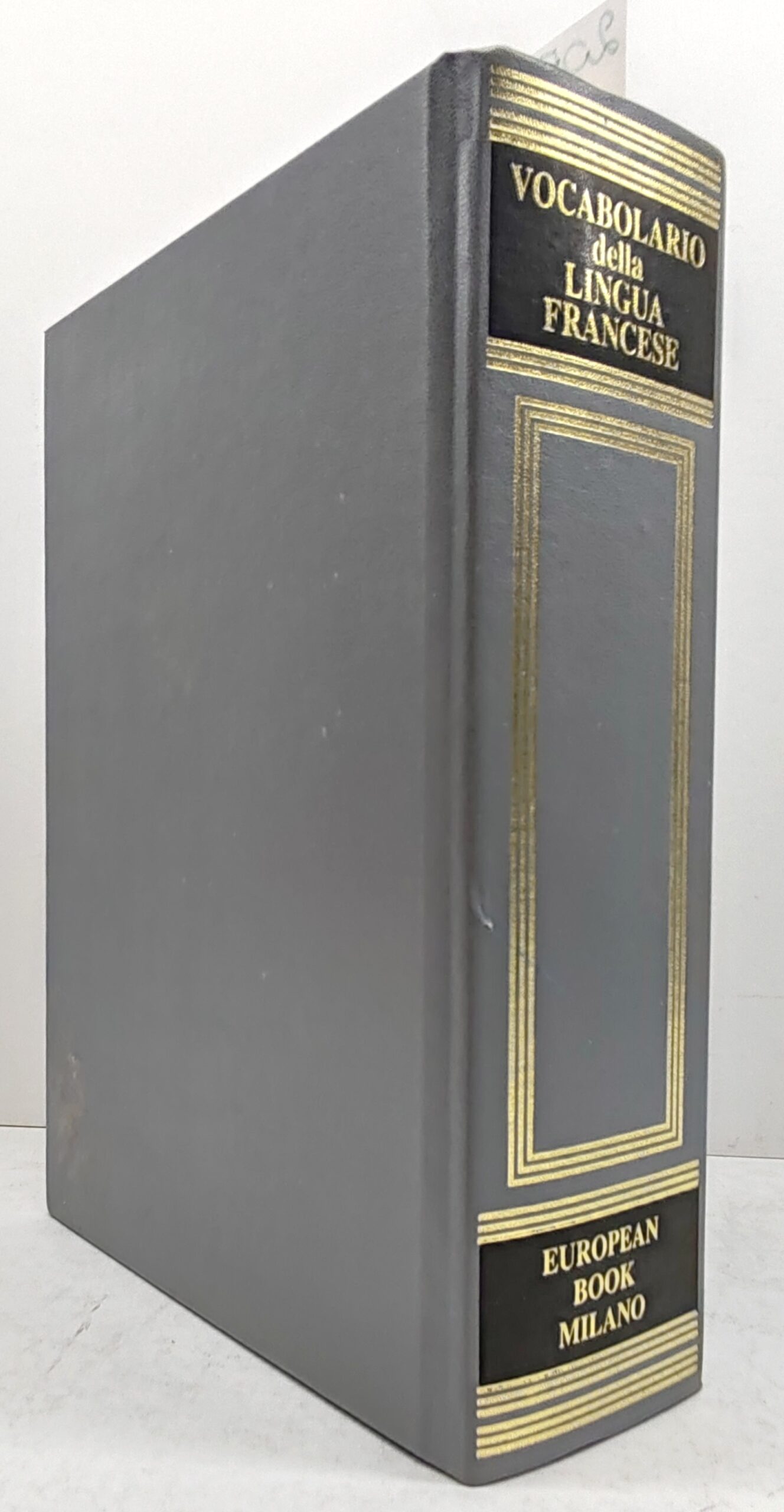 Vocabolario della lingua francese European Book Milano 1998