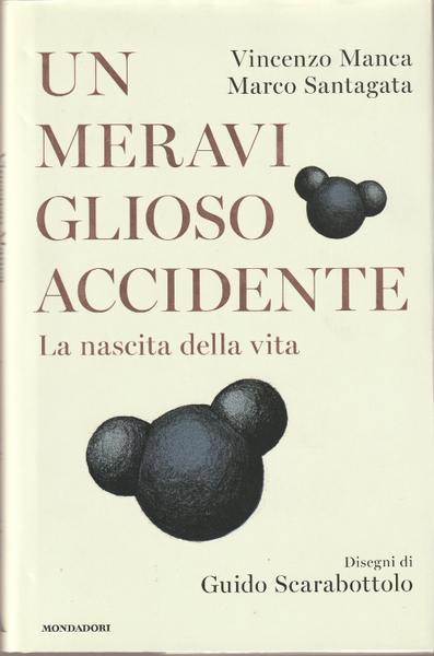 Un Meraviglioso Accidente - La nascita della vita