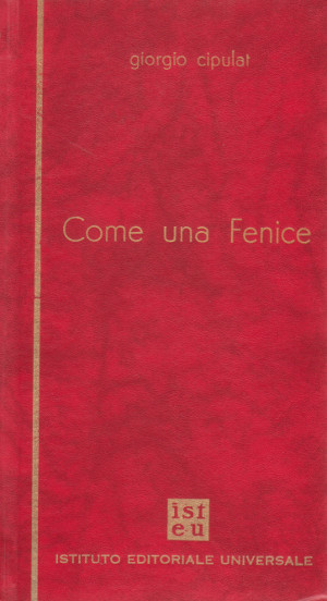 Come una Fenice (1975-1980)