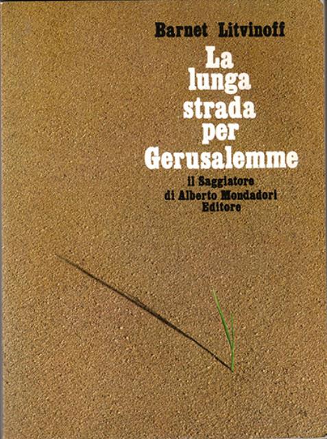 La lunga strada per Gerusalemme. Nascita dello Stato di Israele.