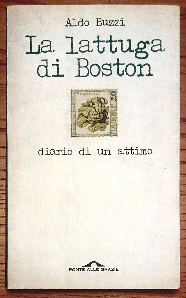 La lattuga di Boston. Diario di un attimo.