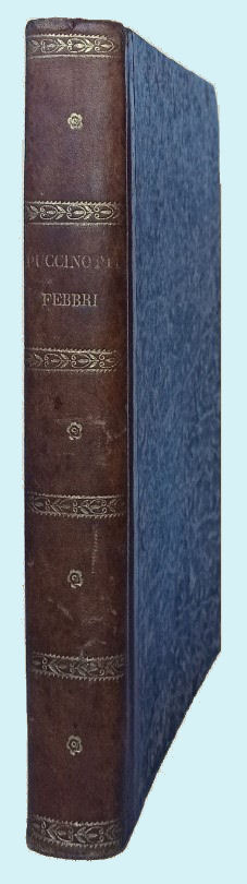Storia delle febbri intermittenti perniciose di Roma negli anni 1819 …