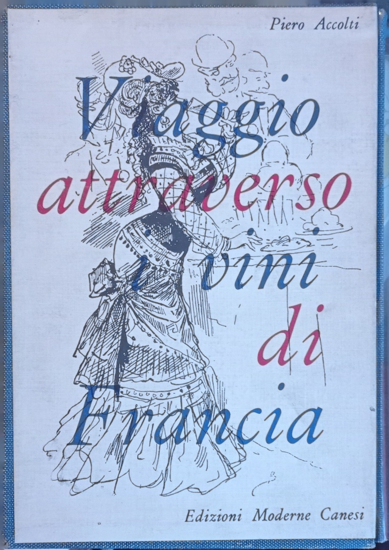 Viaggio attraverso i vini di Francia.