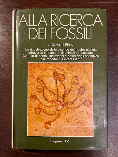 Alla ricerca dei fossili