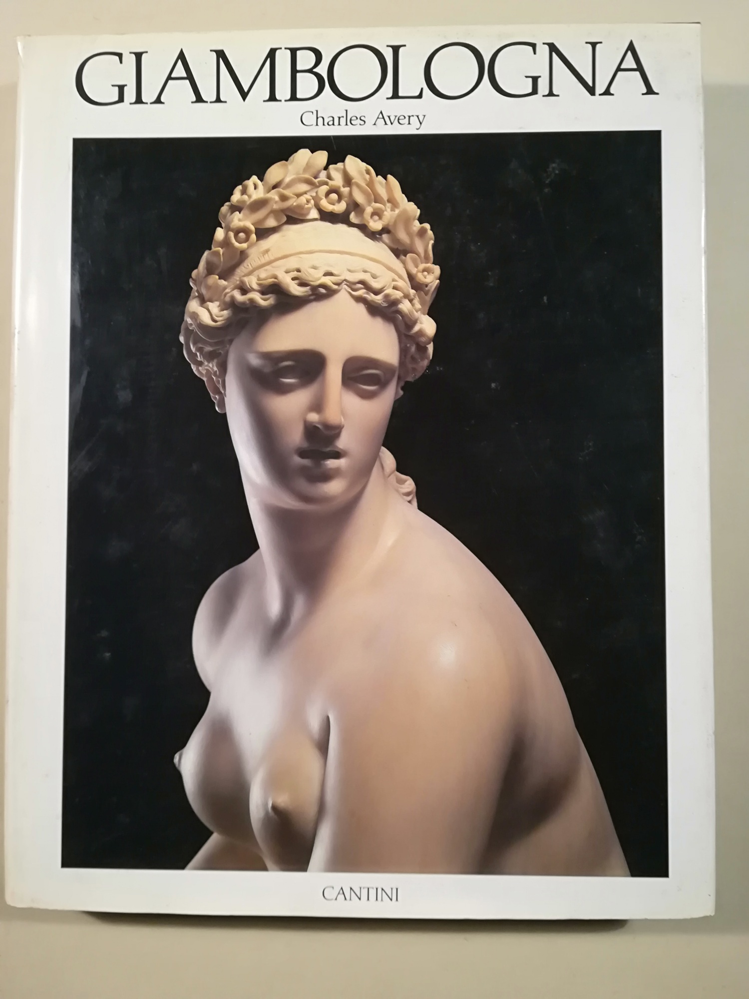 Giambologna la scultura. Fotografie principali David Finn