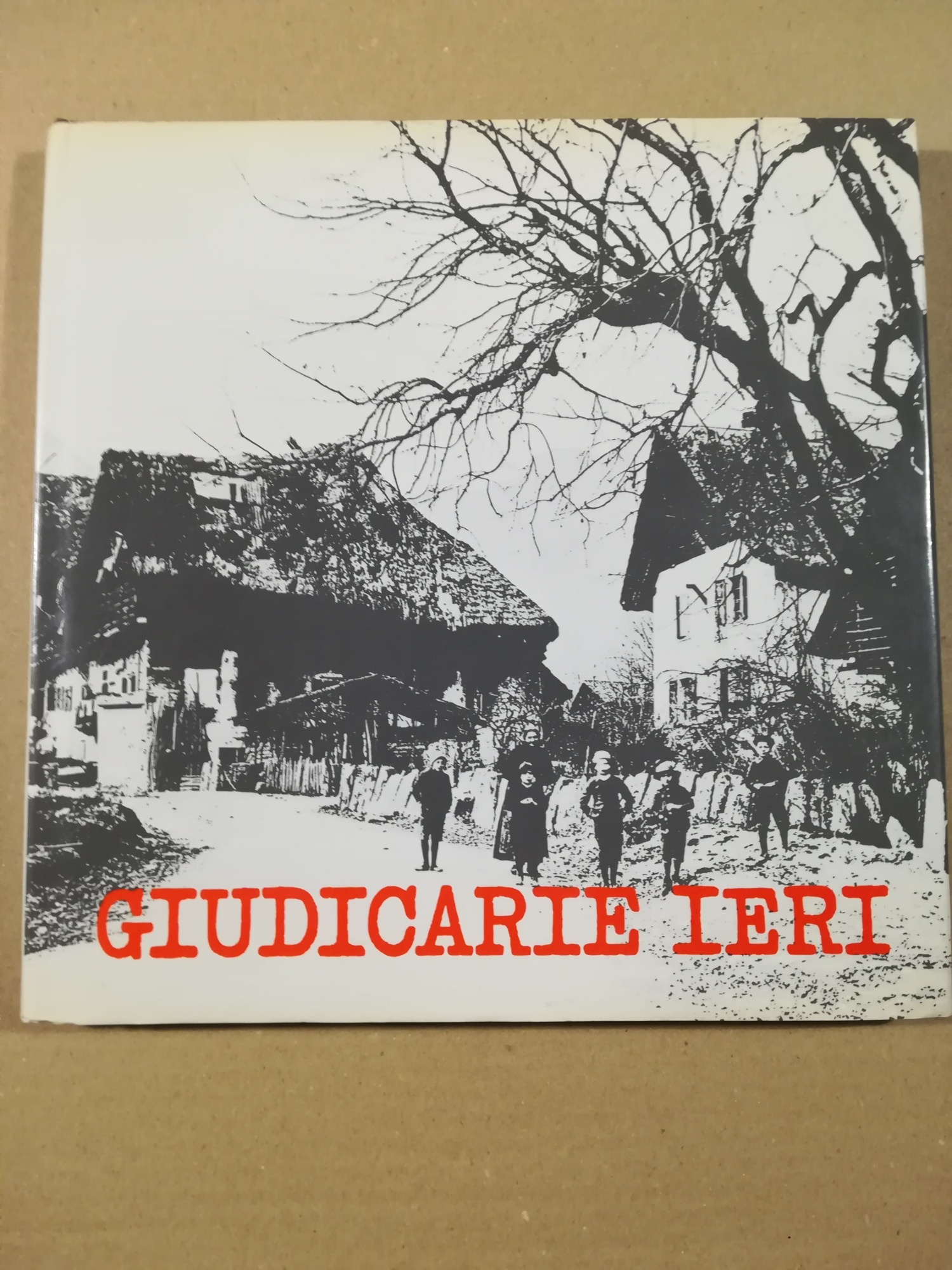 Giudicarie ieri. Saggio di Bruno Parisi. Documenti fotografici con testi …