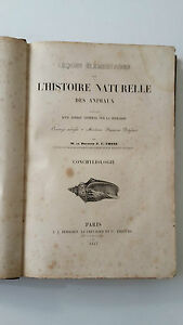 J. C. CHENU L'HISTOIRE NATURELLE DES ANIMAUX CONCHYLIOLOGIE ED. DUBOCHET …