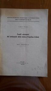 CARLA ROSSI FOSSILI MIOCENICI DEL SOTTOSUOLO GEFARA TRIPOLITANIA MILANO 1940