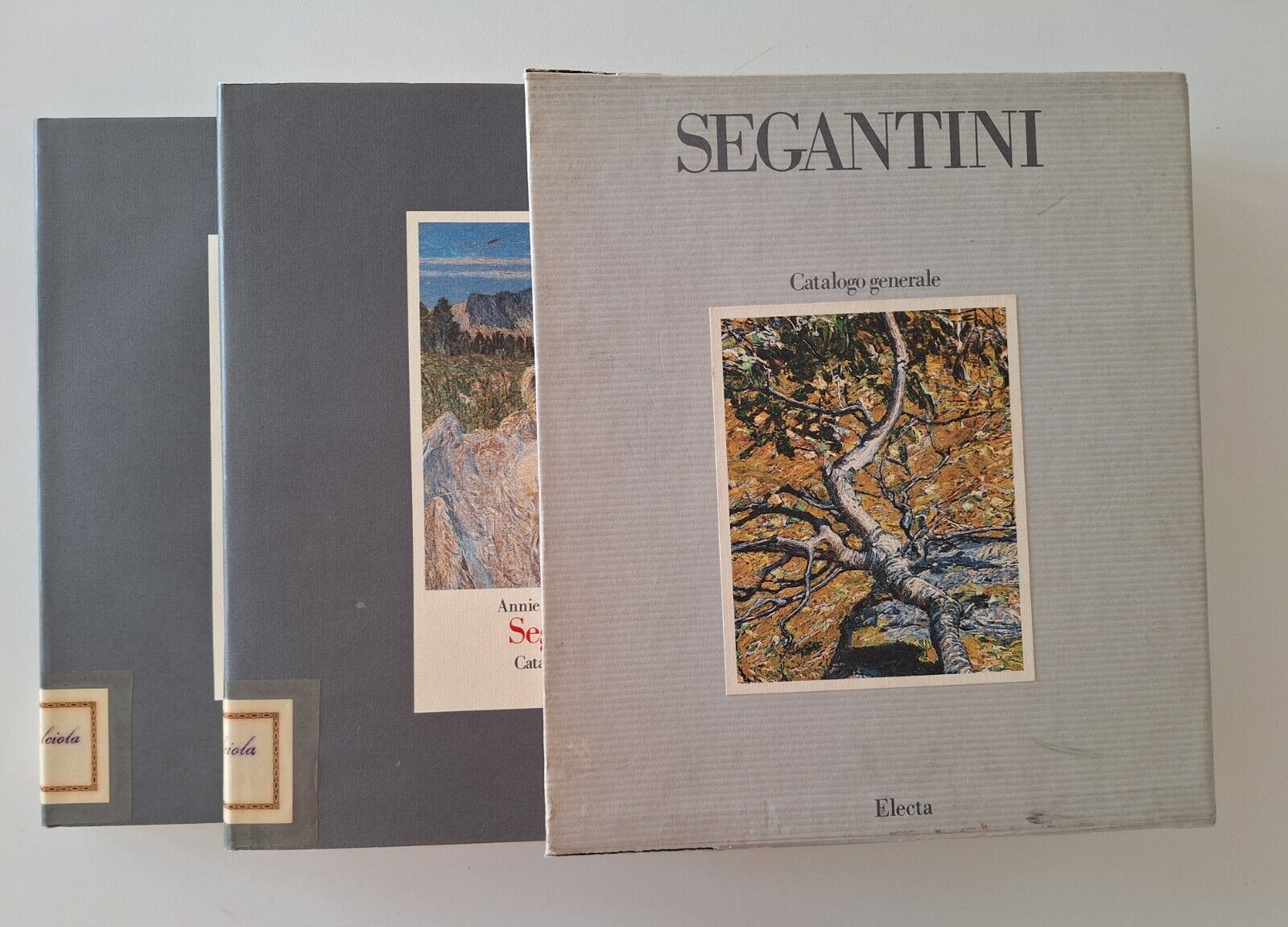 ANNIE PAULE QUINSAC SEGANTINI CATALOGO GENERALE ELECTA 1982