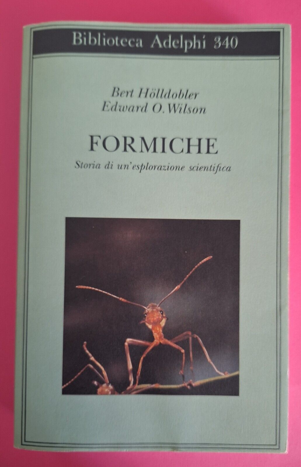 B. HOLLDOBLER E. O. WILSON FORMICHE ADELPHI BIBLIOTECA 1997 1° …