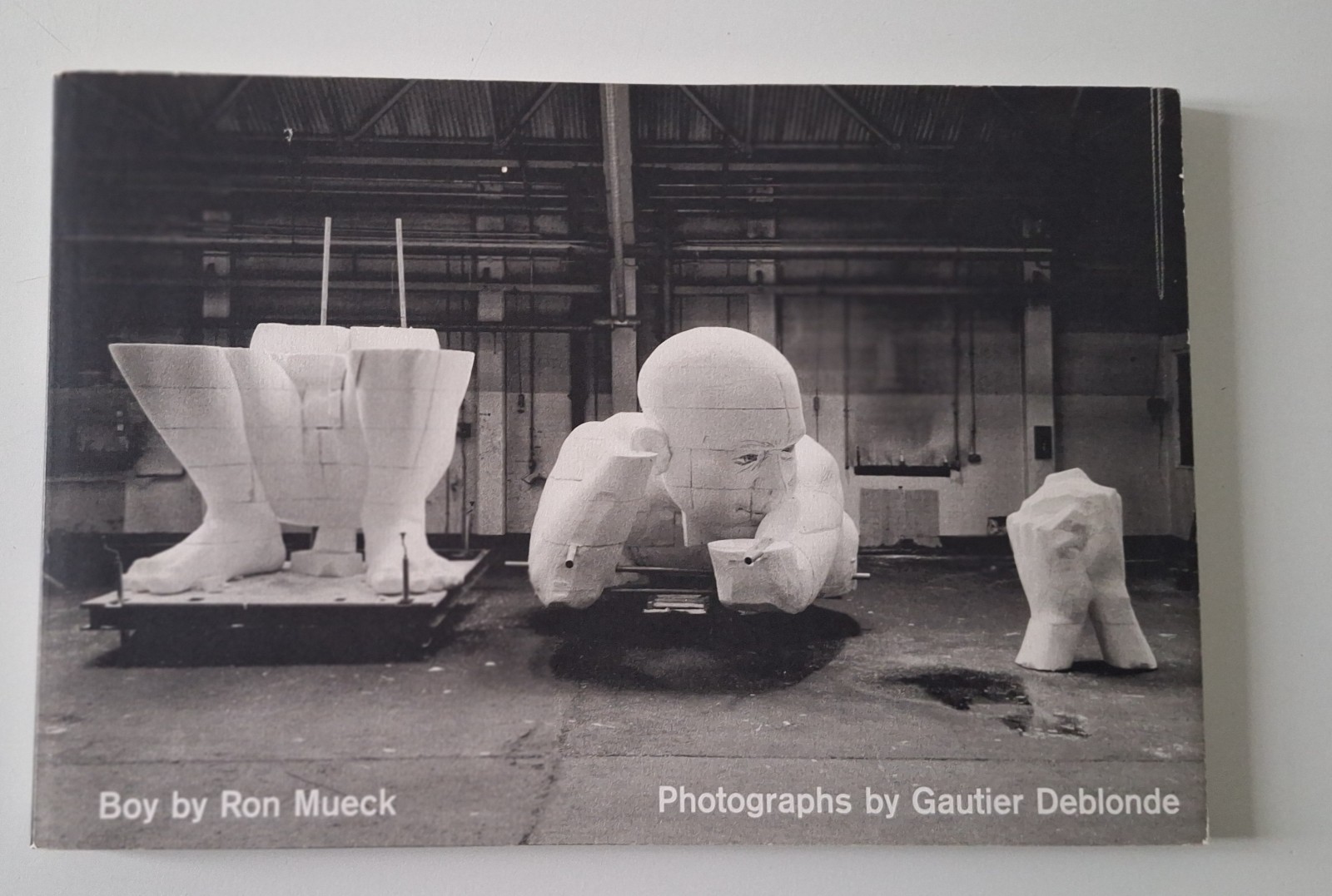 BOY BY RON MUECK PHOTO BY GAUTIER DEBLONDE BIENNALE VENEZIA …