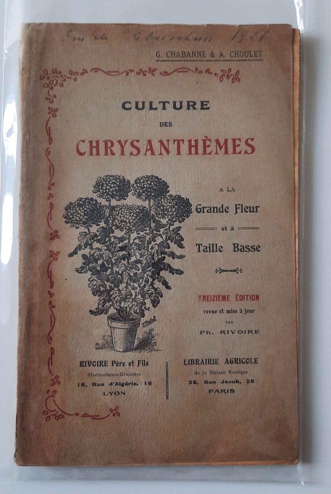 CHABANNE CHOULET CULTURE DES CHRYSANTHEMES