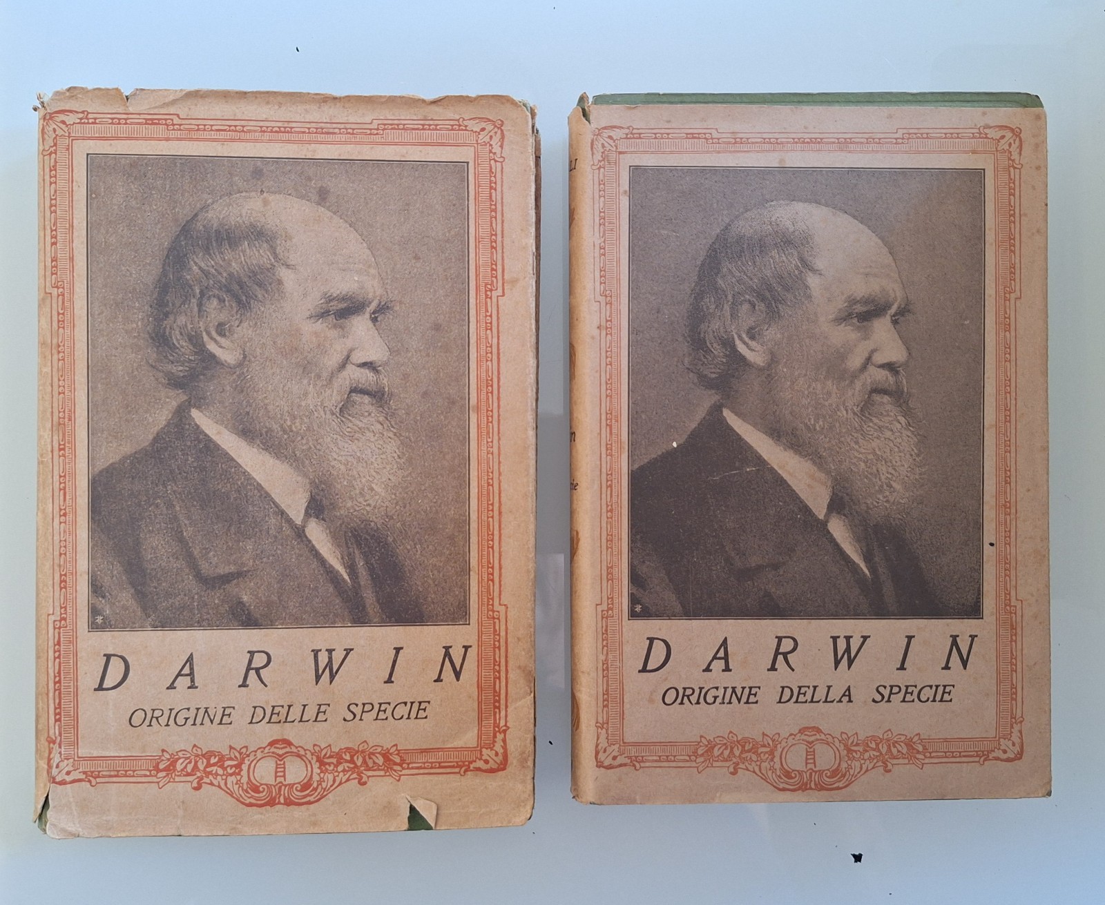 CHARLES DARWIN ORIGINE DELLE SPECIE IST. EDITORIALE ITALIANO 2 VOLUMI