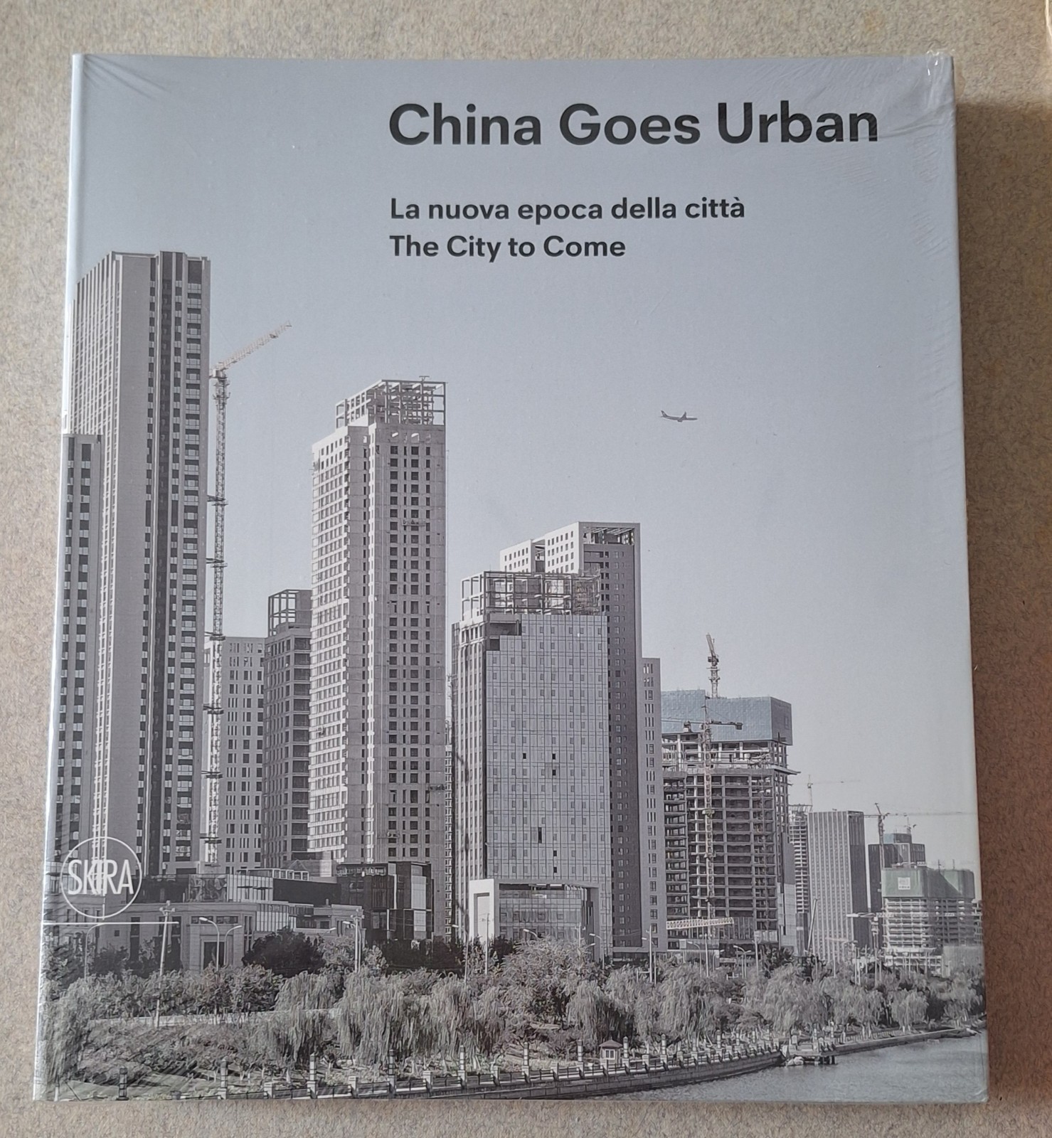 CHINA GOES URBAN SKIRA SIGILLATO