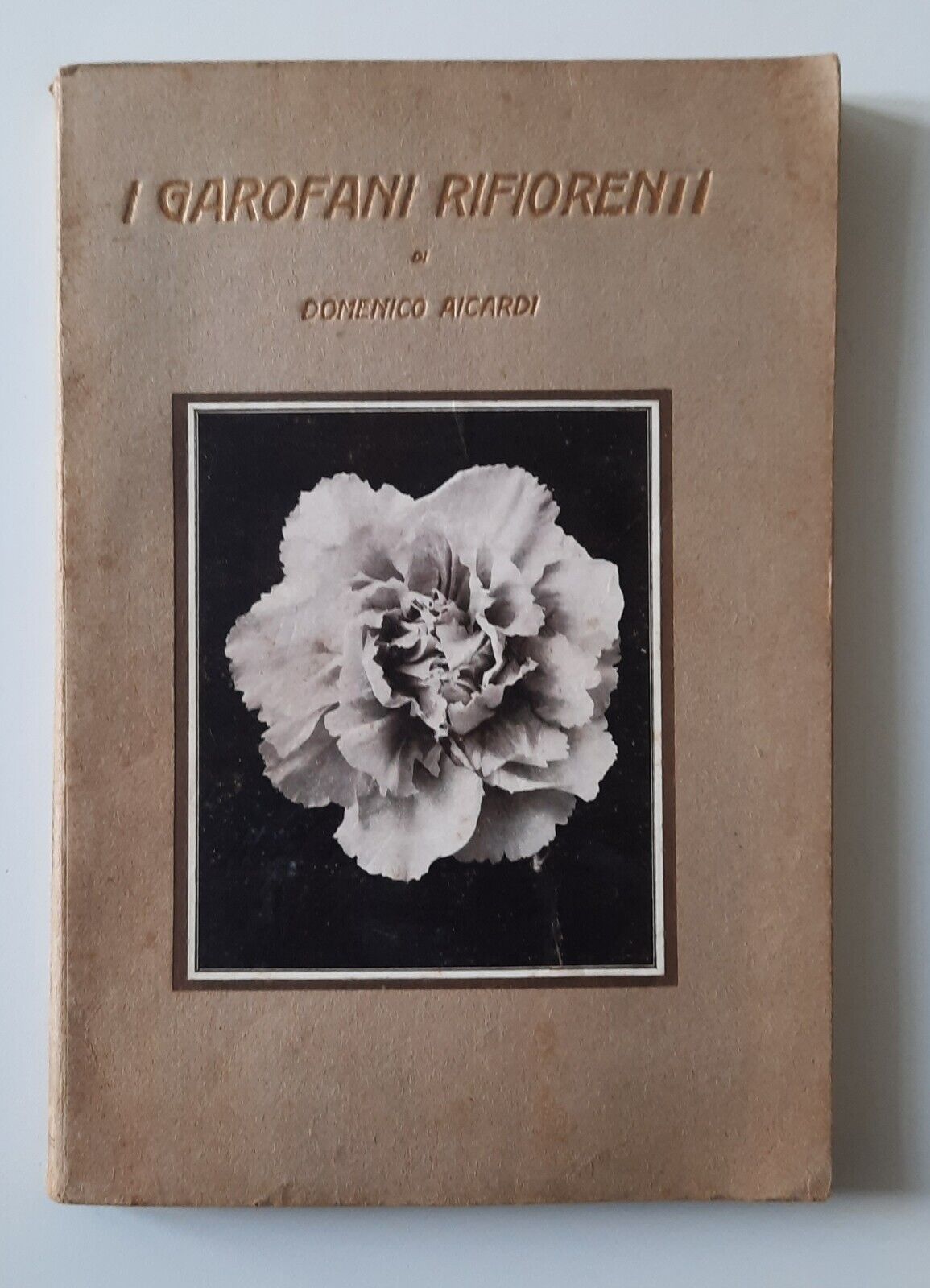 DOMENICO AICARDI I GAROFANI RIFIORENTI RAIMONDO 1929