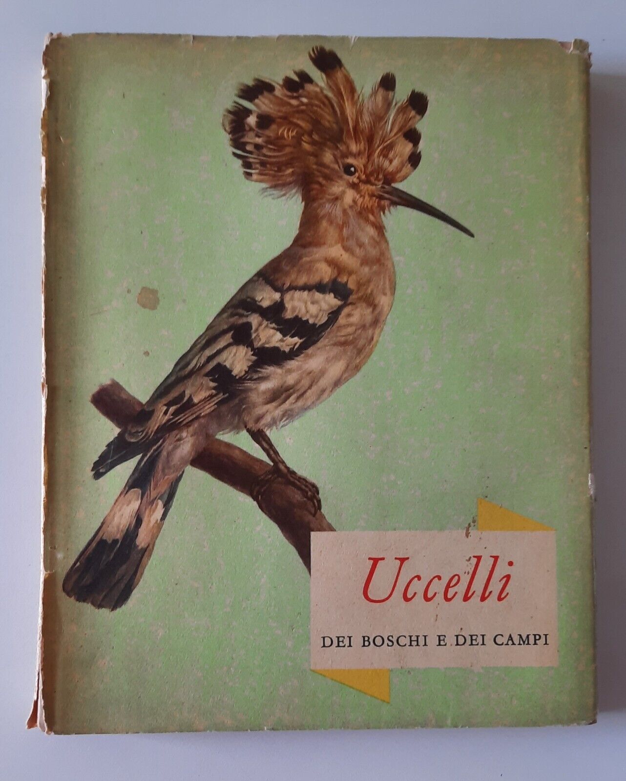 E. DEMARTINI O. STEPANEK UCCELLI DEI BOSCHI E DEI CAMPI …