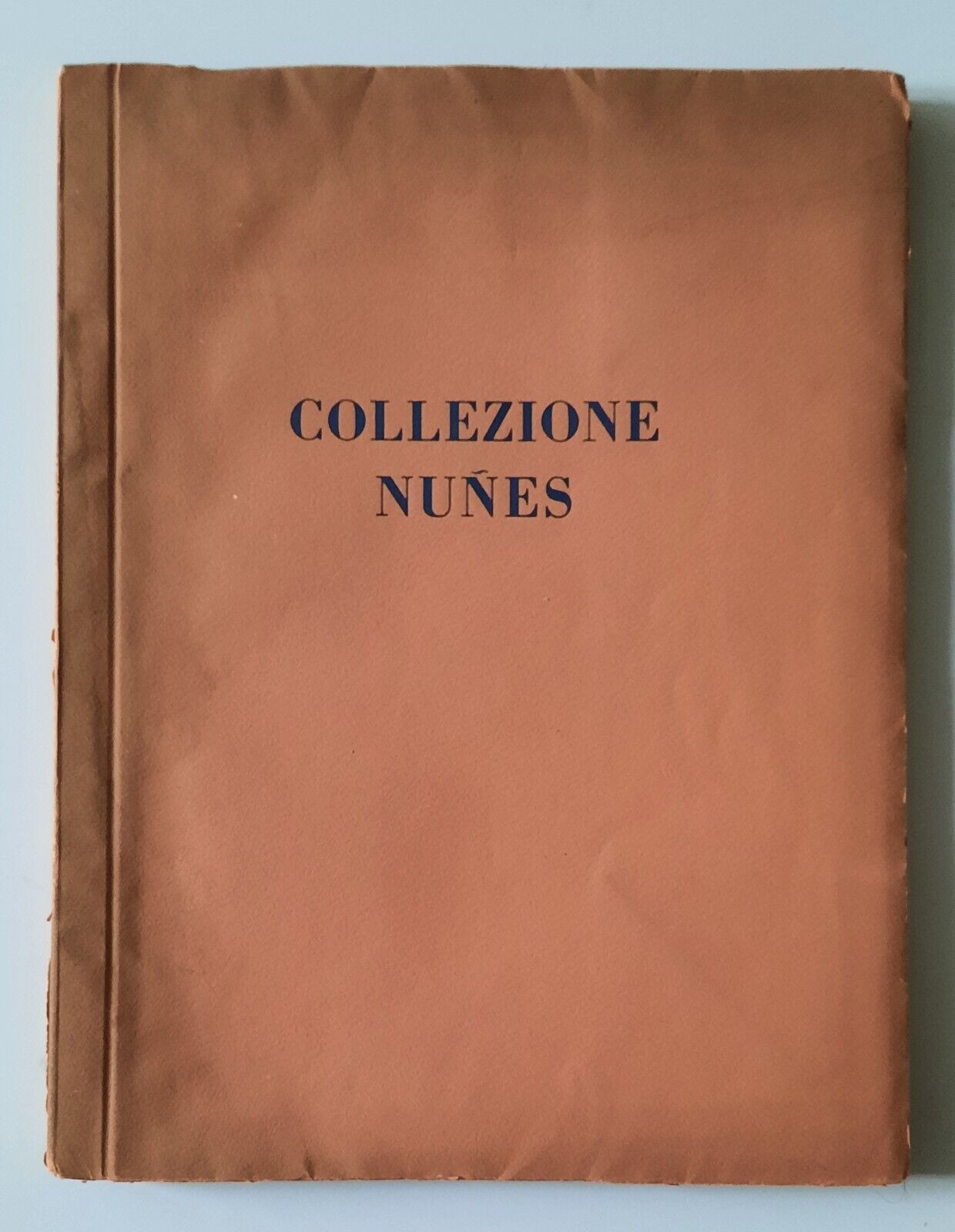 GALLERIA SCOPINICH MILANO COLLEZIONE NUNES ED. RIZZOLI 1929