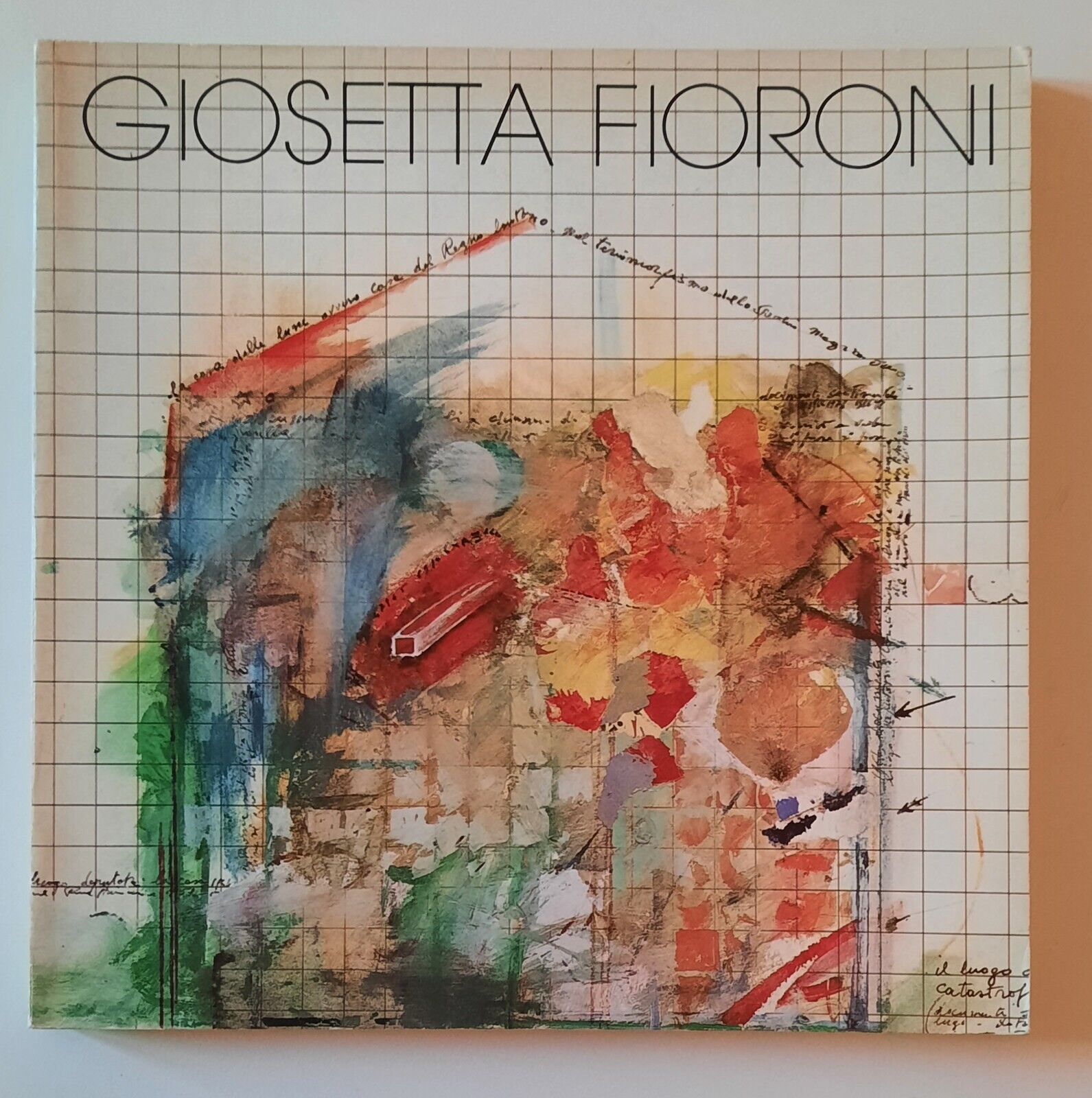 GIOSETTA FIORONI UNIVERSITA' DI PARMA 1984