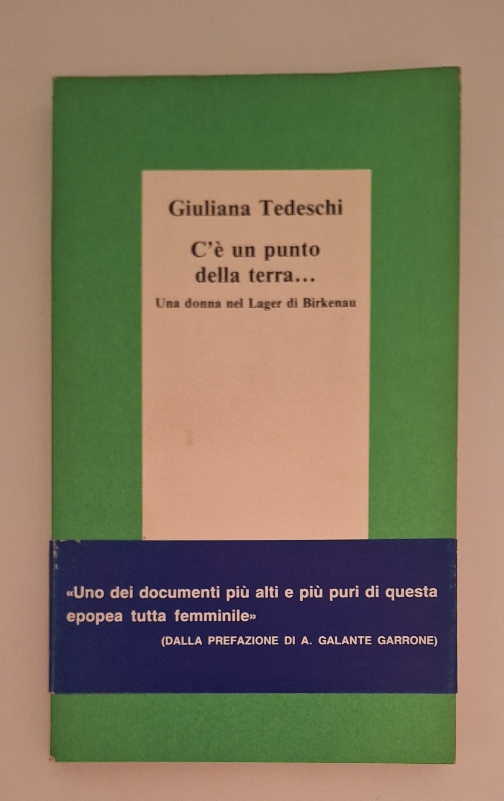 GIULIANA TEDESCHI C'E' UN PUNTO DELLA TERRA GIUNTINA 1988