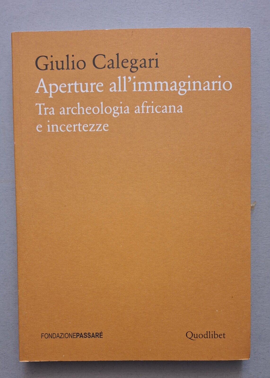 GIULIO CALEGARI APERTURE ALL'IMMAGINARIO QUODLIBET 2017