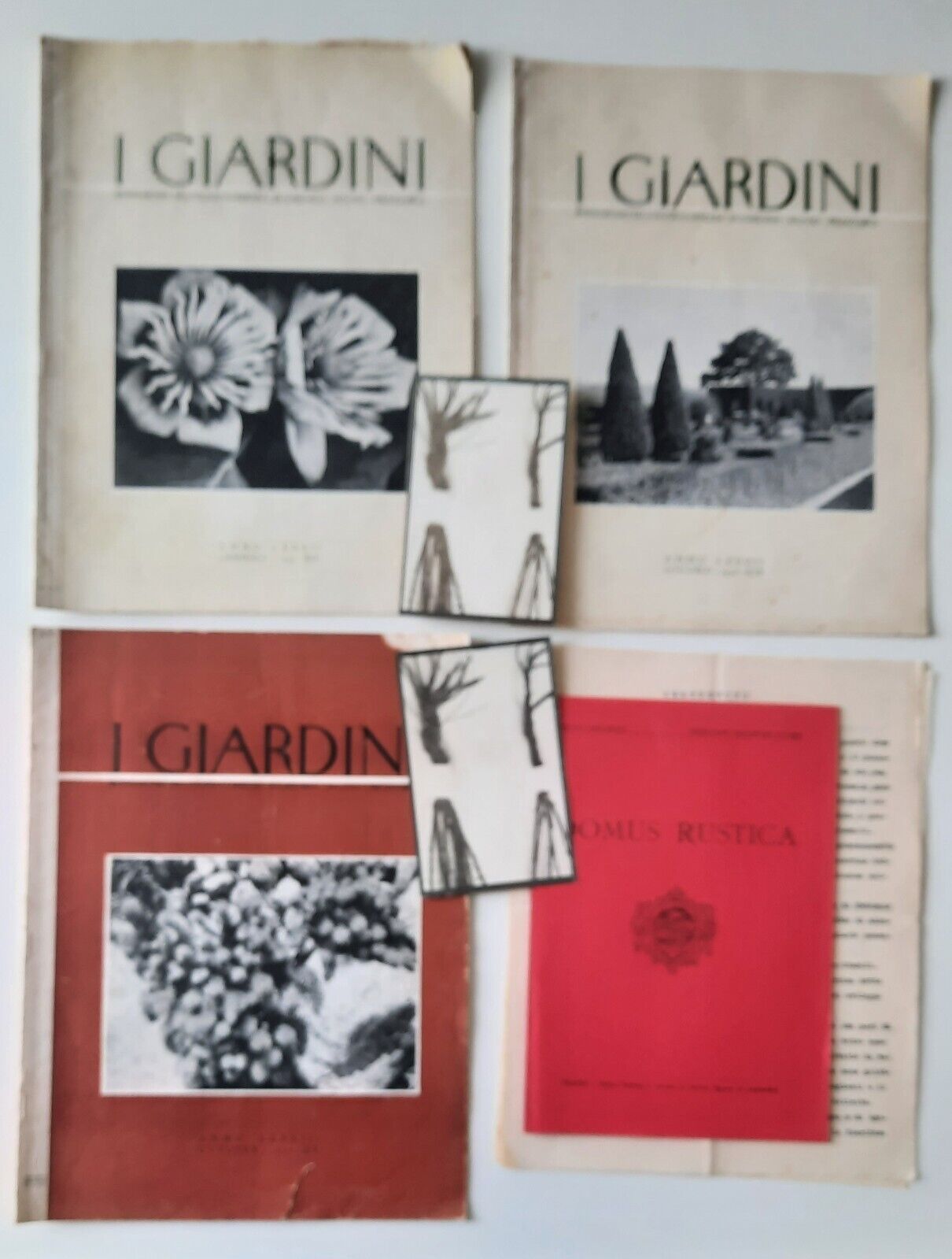 I GIARDINI RIVISTA MENSILE DELLA SOCIETA' ORTICOLA DI LOMBARDIA GEN. …