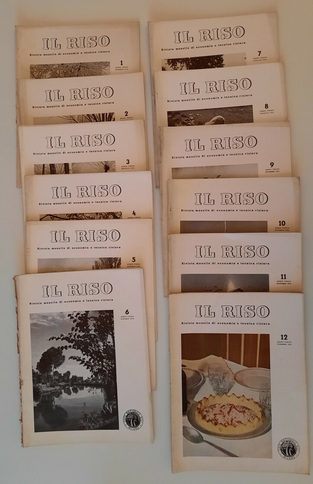 IL RISO RIVISTA MENSILE DI ECONOMIA TECNICA RISIERA ANNO 3° …