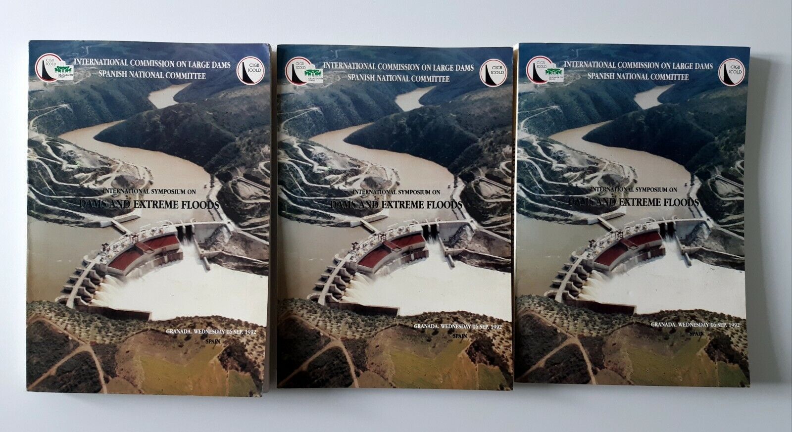 INT. SYMPOSIUM ON DAMS AND EXTREME FLOODS GRENADA 1992 CIGB …