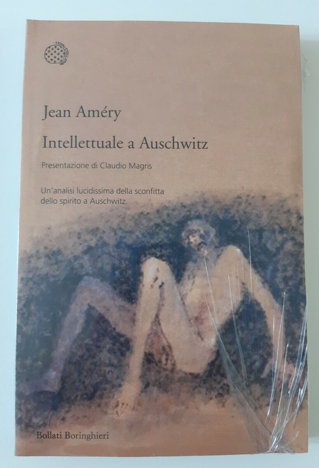 JEAN AMERY INTELLETTUALE A AUSCHWITZ BOLLATI BORINGHIERI