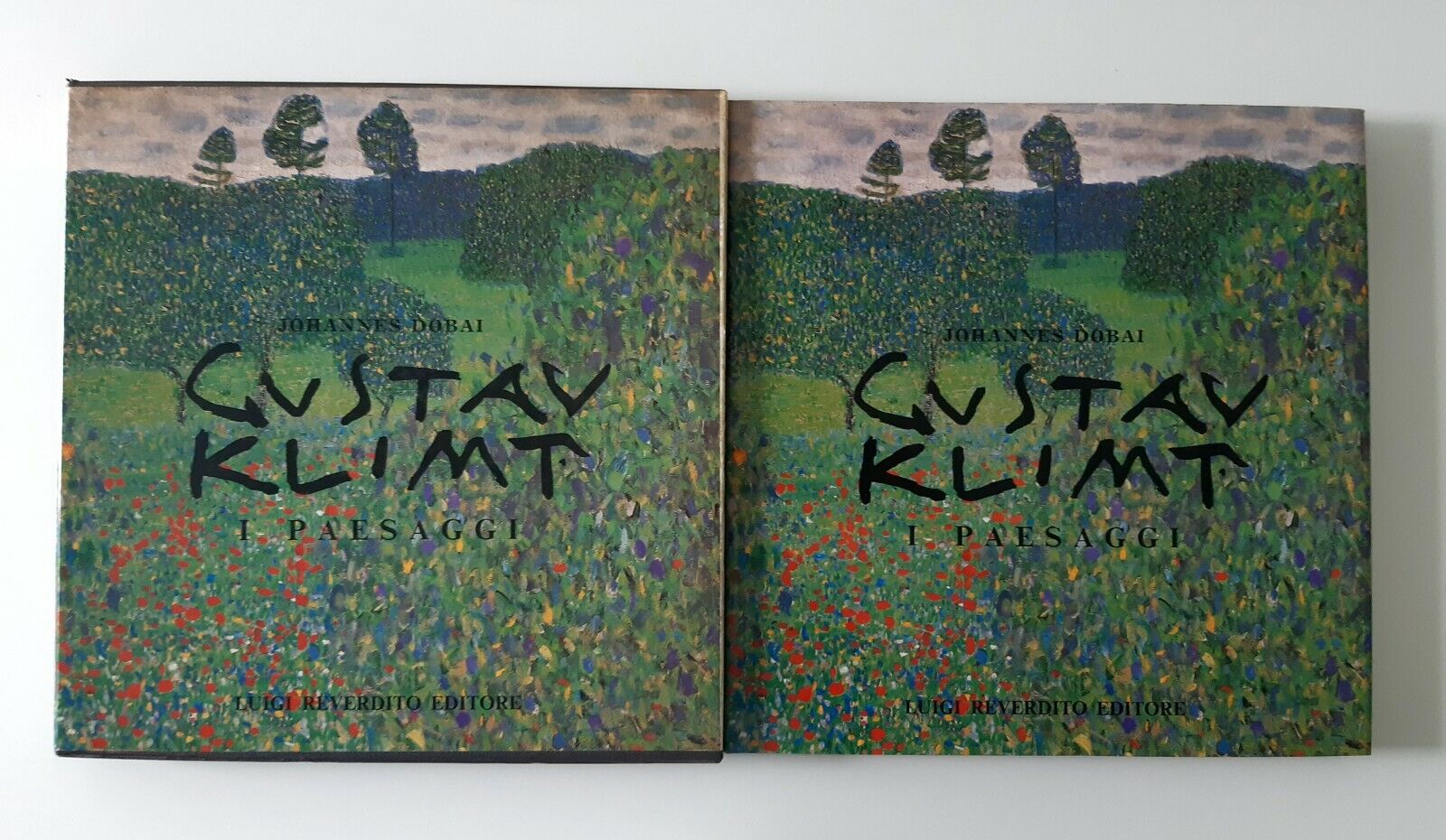 JOHANNES DOBAI GUSTAV KLIMT I PAESAGGI LUIGI REVERDITO ED. 1983