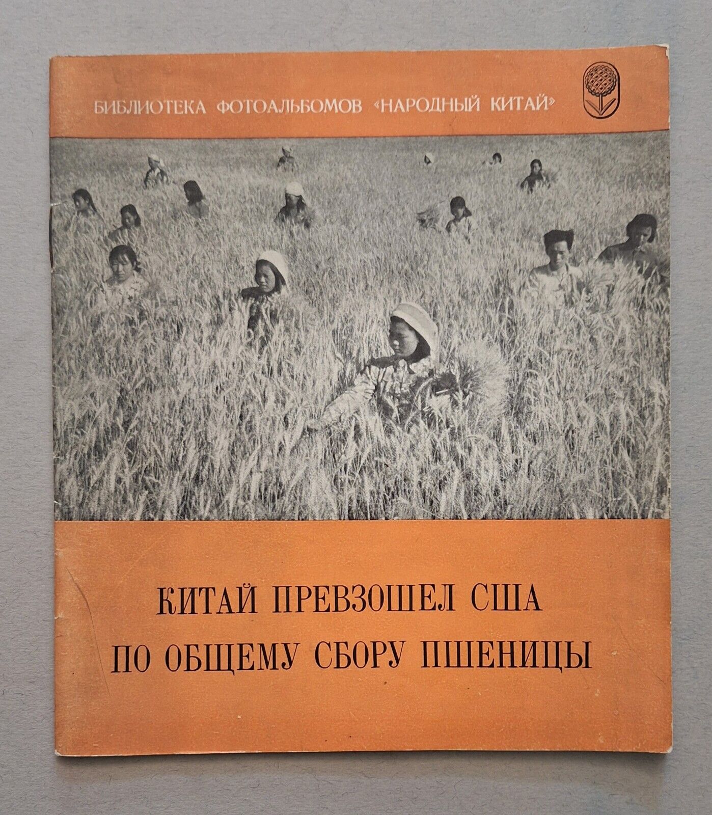LA CINA SUPERA GLI USA PRODUZIONE DI GRANO PUBB. DI …