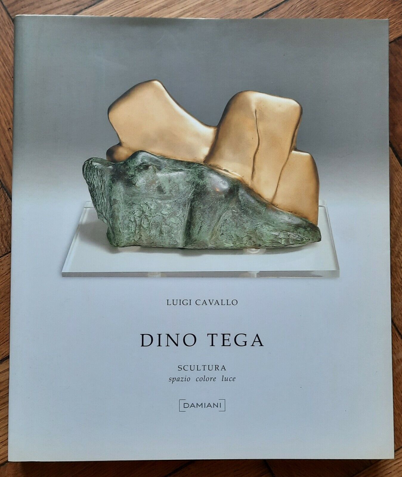 LUIGI CAVALLO DINO TEGA SCULTURA DAMIANI 2005