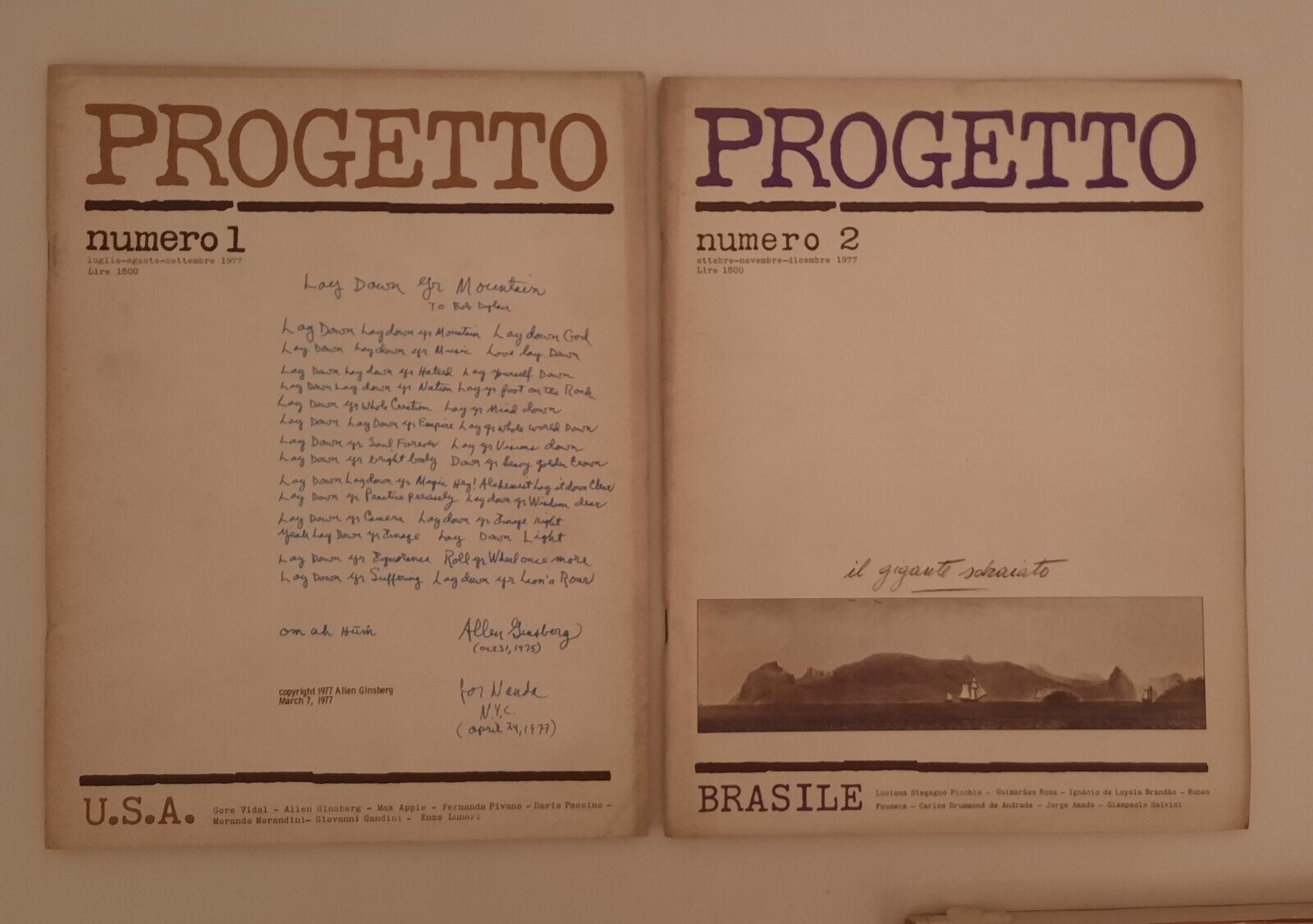 PROGETTO RIVISTA LETTERARIA N. 1 - 2 1977 GINSBERG PIVANO …