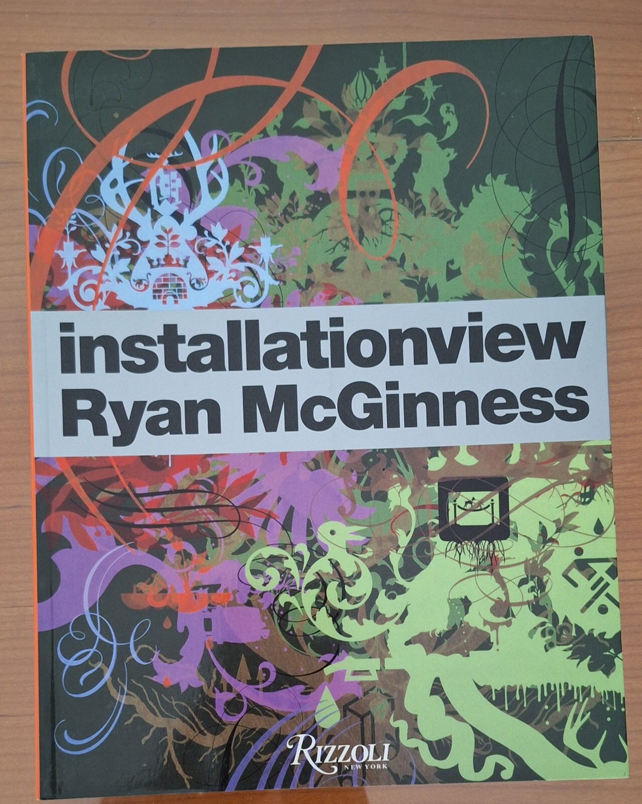 RYAN MCGINNESS INSTALLATIONVIEW RIZZOLI 2004