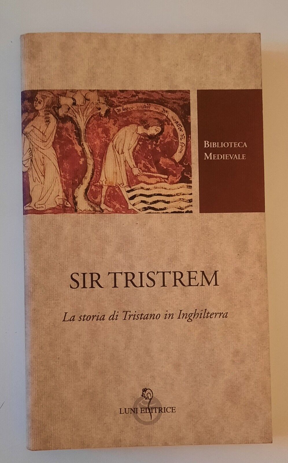 SIR TRISTEM LA STORIA DI TRISTANO IN INGHILTERRA LUNI BIBLIOTECA …