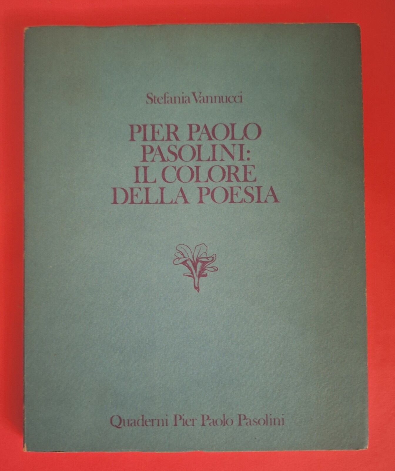 STEFANIA VANNUCCI PIER PAOLO PASOLINI IL COLORE POESIA QUADERNI P.P.P. …