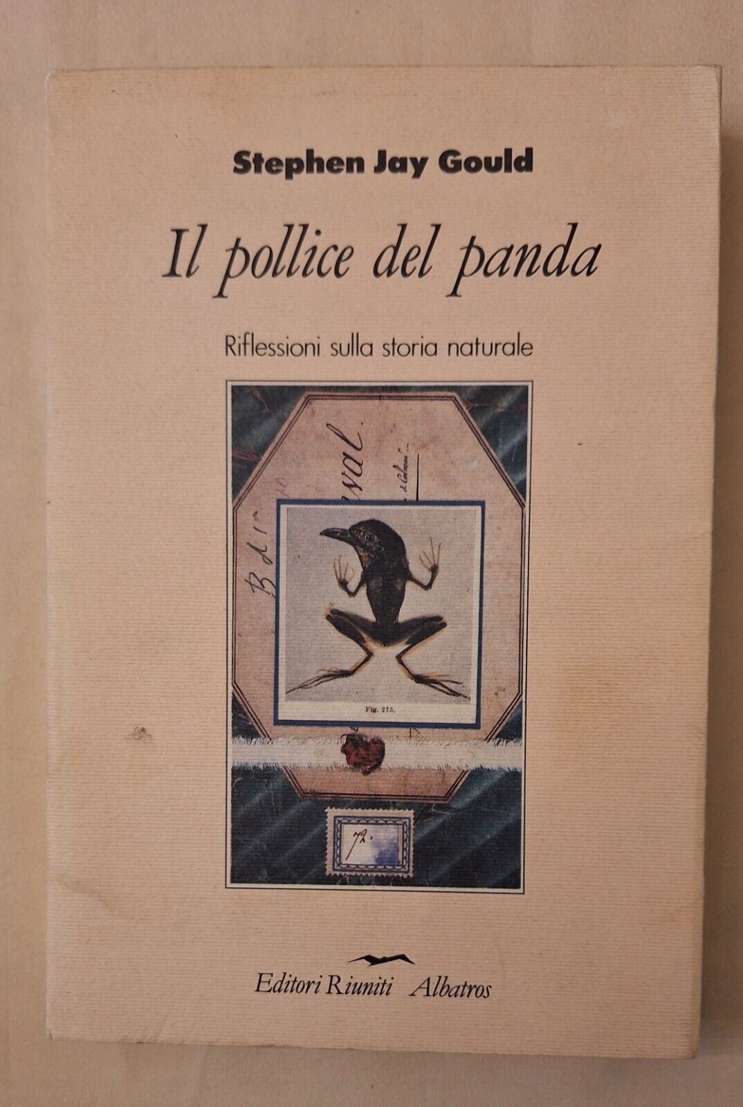 STEPHEN JAY GOULD IL POLLICE DEL PANDA EDITORI RIUNITI 1989