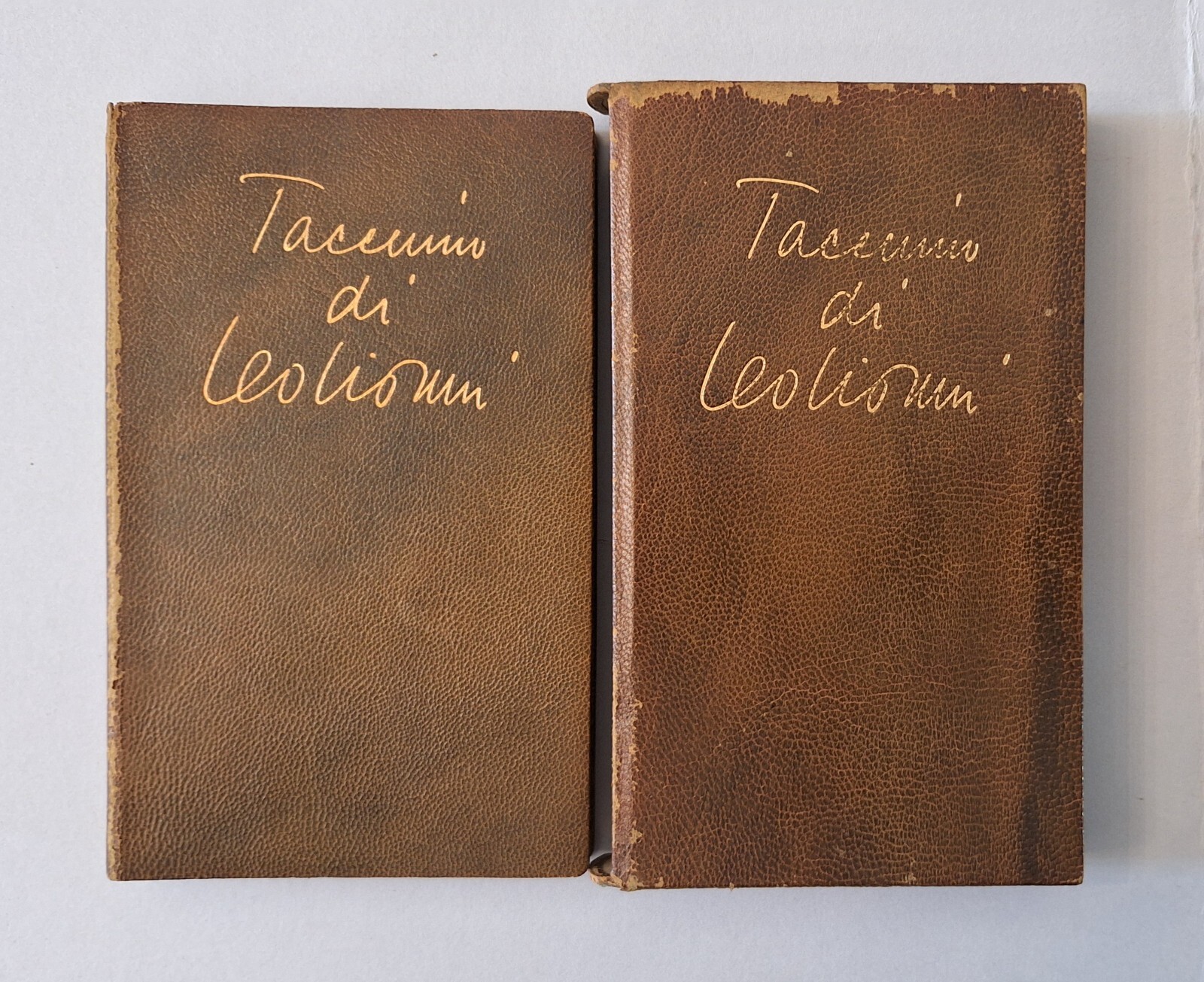 TACCUINI DI LEO LIONNI ELECTA 1972