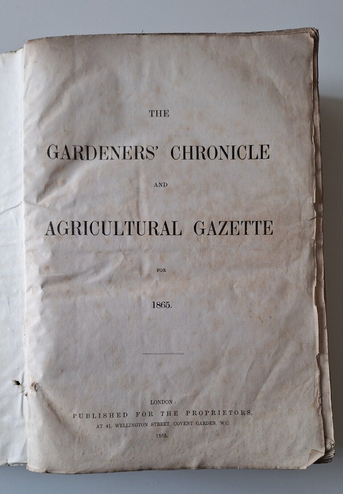 THE GARDENERS' CHRONICLE AND AGRICULTURAL GAZETTE FOR 1865 LONDON PUB. …