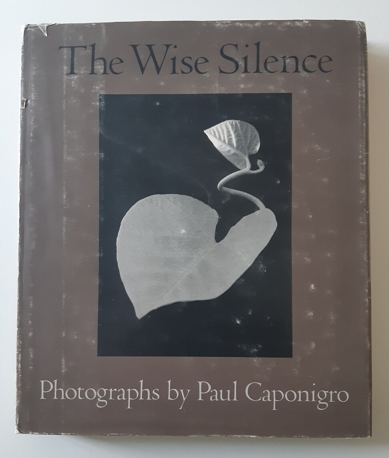 THE WISE SILENCE PAUL CAPONIGRO NEW YORK GRAPHIC SOCIETY BOOKS …