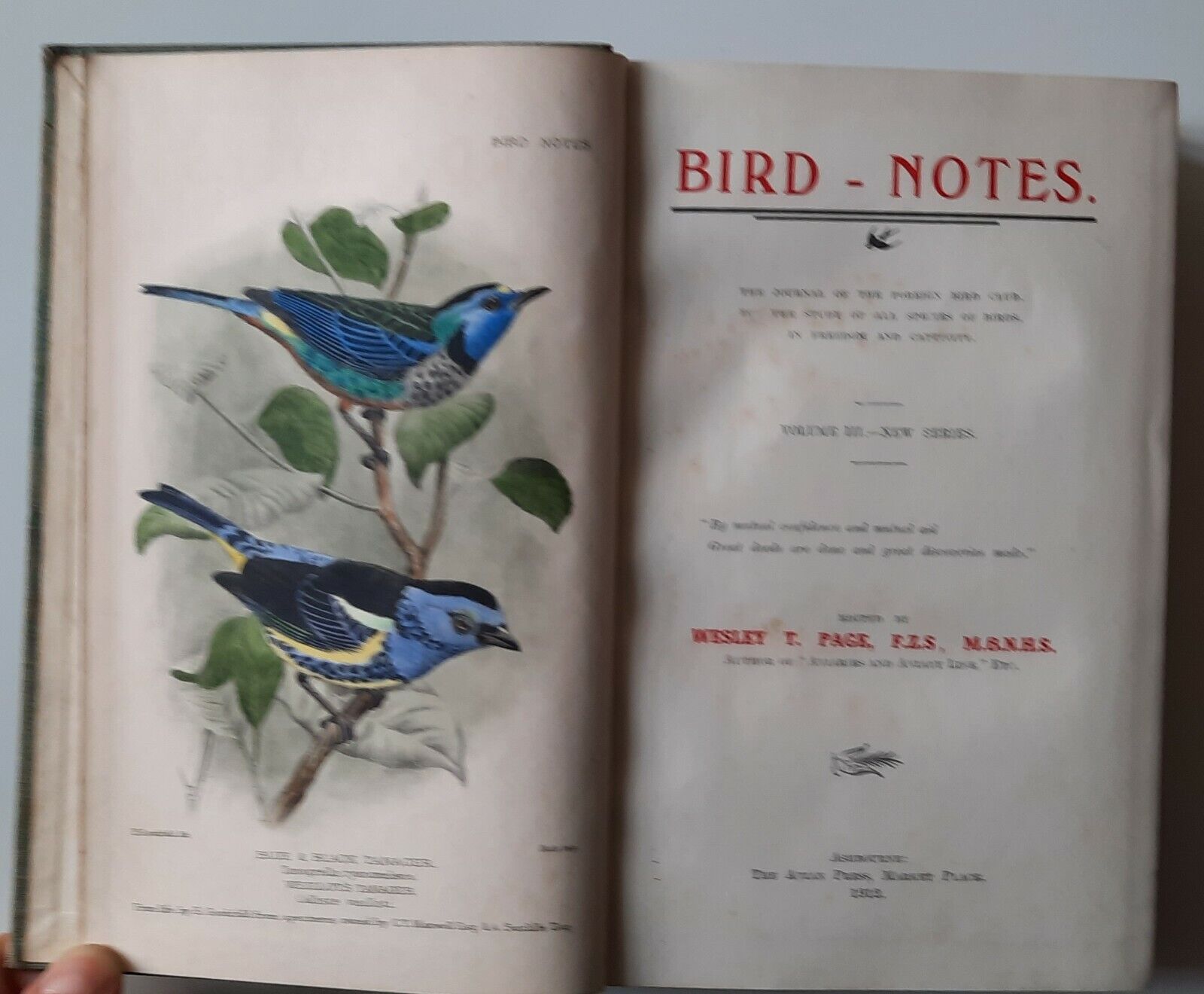 WESLEY T. PAGE BIRD NOTES VOL. 3 AVIAN PRESS 1912