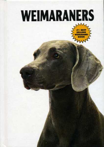 Weimaraners