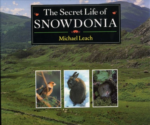 The Secret Life of Snowdonia